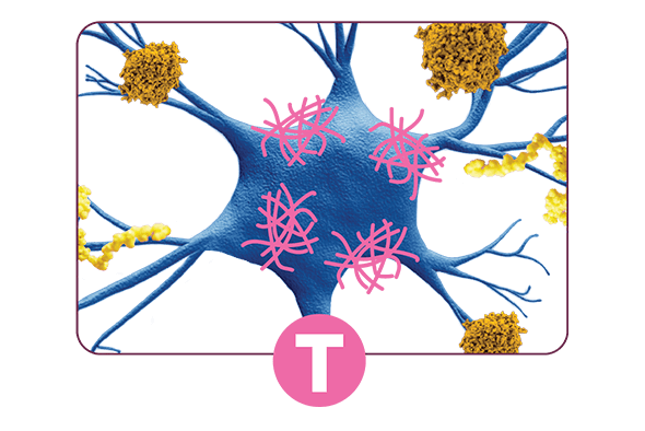 Abnormal Tau Proteins