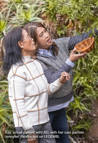 Two women picking fruit from a tree