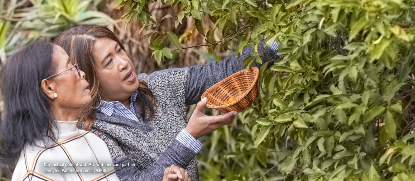 Two women picking fruit from a tree